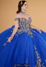 Royal/Gold