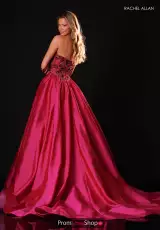 Fuchsia Multi