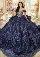 Navy Blue/Silver