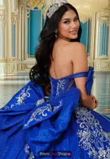 Royal Blue/Silver