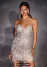 Silver-Nude