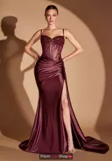 Plum Noir