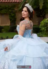 Light Blue/Silver