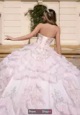 Light Pink/Silver