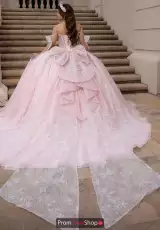 Pink/Platinum