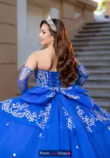Royal/Silver