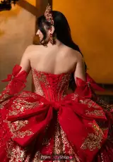 Scarlet/Gold