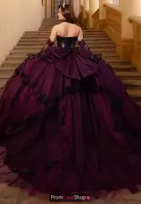 Wine/Black/Gold