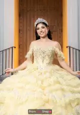 Yellow/Silver