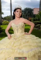 Yellow/Silver