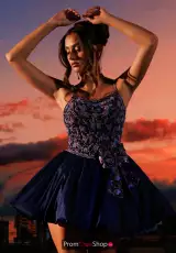 Navy Periwinkle