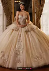 Champagne Gold Ivory