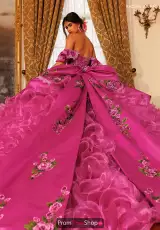 Fuchsia Multi