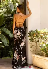 Black Multi