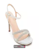 Silver Shimmer