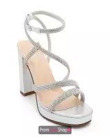 Silver Shimmer