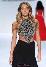 Black/Silver