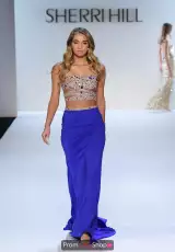 Bright Royal/Multi