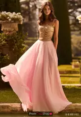 Pink/Gold