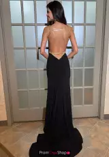 Black/Gold