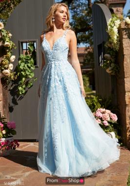 Prom Dresses Over 500 Dollars