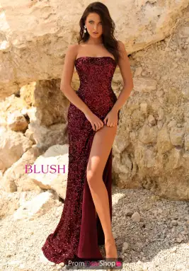 Blush Dress 20538