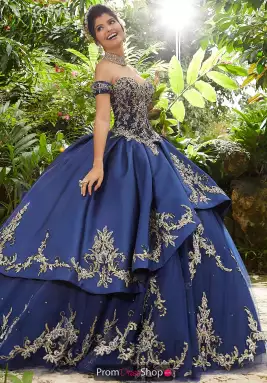 Vizcaya Dress 89241