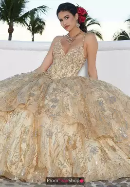 Vizcaya Dress 60163