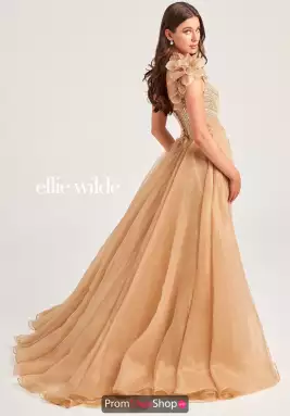 Ellie Wilde Dress EW35087
