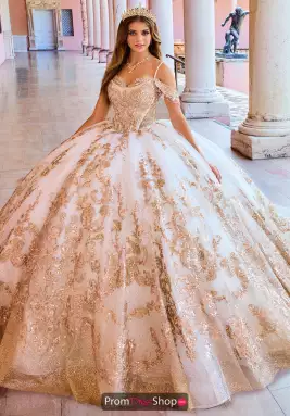 Princesa Dress PR30153