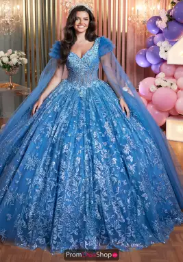 Vizcaya Dress 89507