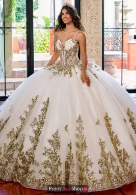 Rachel Allan Quince Dress RQ1158