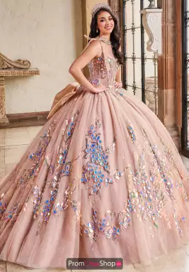 Rachel Allan Quince Dress RQ2203