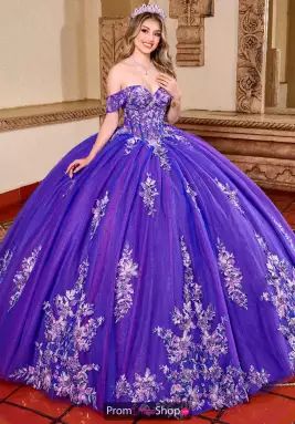 Rachel Allan Quince Dress RQ2200