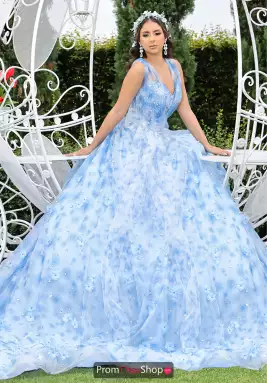 LizLuo Quinceanera Dress 80021