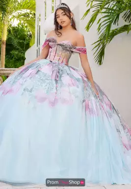 LizLuo Quinceanera Dress 56520