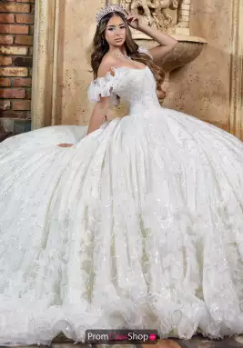 LizLuo Quinceanera Dress 80020