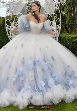 LizLuo Quinceanera Dress 80025