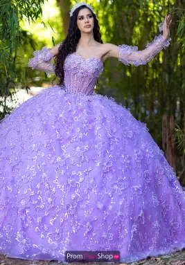 LizLuo Quinceanera Dress 26085