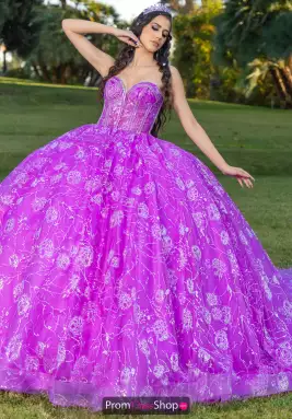 LizLuo Quinceanera Dress 26098