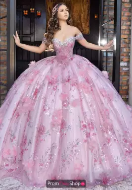 LizLuo Quinceanera Dress 80024