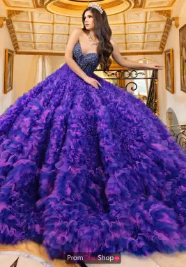 LizLuo Quinceanera Dress 80023