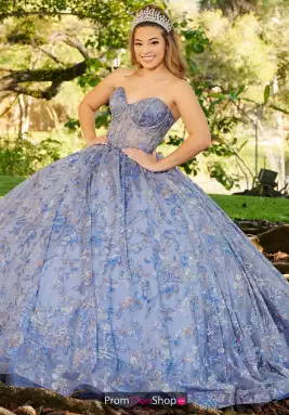 LizLuo Quinceanera Dress 56523