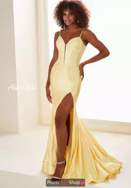 Ellie Wilde Dress EW37069