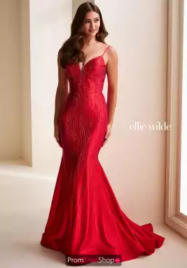 Ellie Wilde Dress EW37101