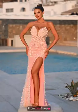 Portia and Scarlett Dress PS26176