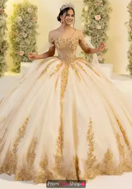 LizLuo Quinceanera Dress 56560