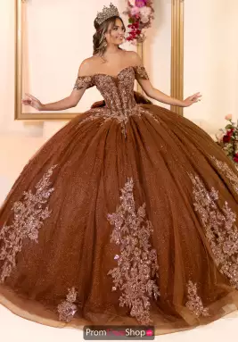 LizLuo Quinceanera Dress 80062