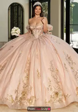Rachel Allan Quince Dress RQ3174