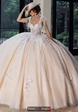 Rachel Allan Quince Dress RQ1182